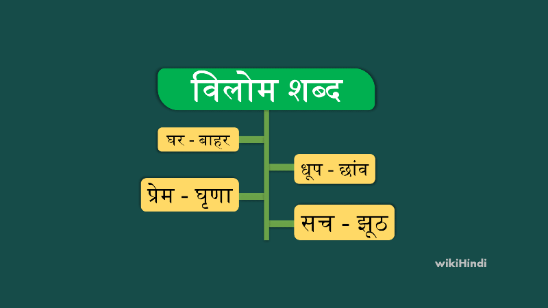vilom shabd opposite words in hindi thumbnail-min
